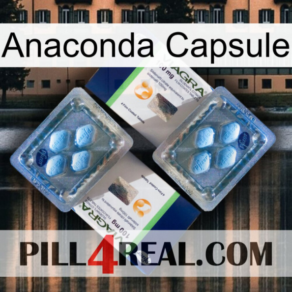 Anaconda Capsule viagra5.jpg